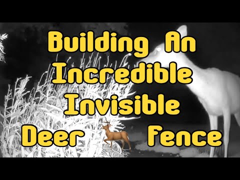 The Incredible Invisible Deer Fence
