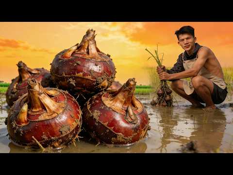 Dig water chestnuts out of the mud! Make them into water chestnut cake.挖马蹄!做马蹄糕、全家都爱吃 | 贺州小哥