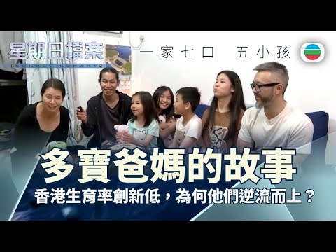 TVB 星期日檔案｜多寶爸媽：香港生育率創新低，為何他們逆流而上，擁抱大家庭？ ｜無綫新聞 TVB News