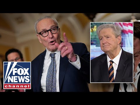 'WHEN DONKEYS FLY': Kennedy brushes off Dems' shutdown demand