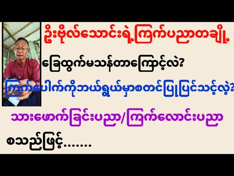 @ကြက်နဲ့ပတ်သတ်တဲ့ဦးဗိုလ်သောင်းရဲ့ကြက်ပညာမျှဝေမှုတစိတ်တပိုင်း#ညီကိုများလေးစားလျှက်