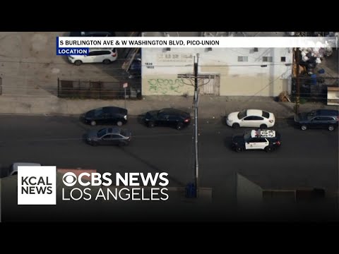 Armed robbery suspect arrested by LAPD after hours-long pursuit