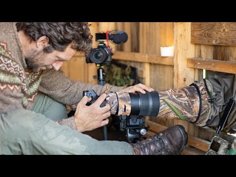 BIRD PHOTOGRAPHY FROM BLIND - my routines