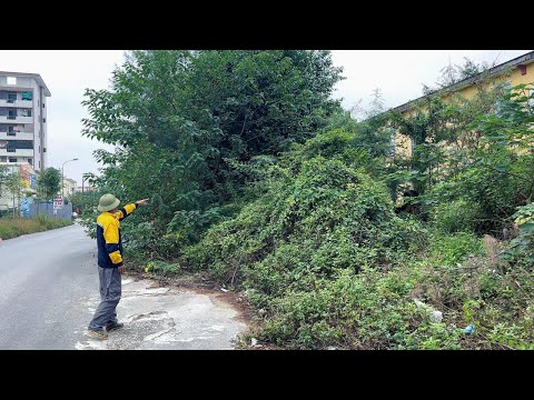 Part 3: Reviving the world's scariest sidewalk that was abandoned for 50 years, We cried with joy