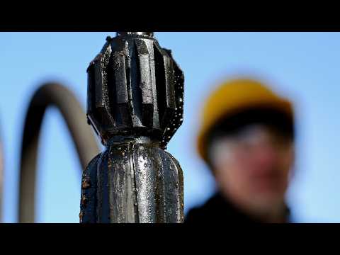 Market Priced for Risk, Not Disruption: Fmr. WH Advisor