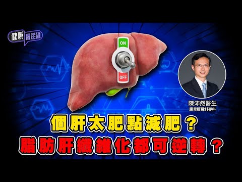 個肝太肥點減肥?脂肪肝纖維化都可逆轉? |希愈醫療中心 HEAL Medical | 陳沛然醫生