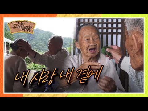 [다시보는 고향극장] 아내 밖에 모르는 할아버지, 그런 할아버지가 항상 고마운 할머니의 ' 내 사랑 내 곁에' KBS 130919 방송
