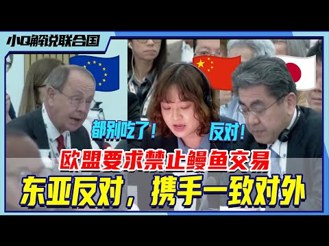 最新会议解说：欧盟要大家以后都别吃鳗鱼，中日韩联手反对！丨小Q解说联合国