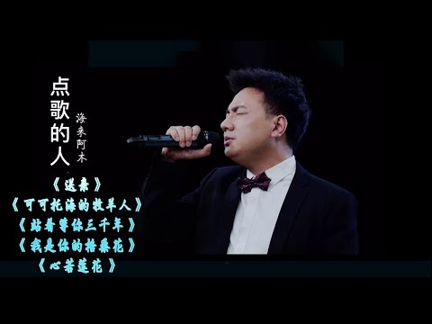 王琪《送亲》《可可托海的牧羊人》《站着等你三千年》《红尘情痴》 《佛灯》