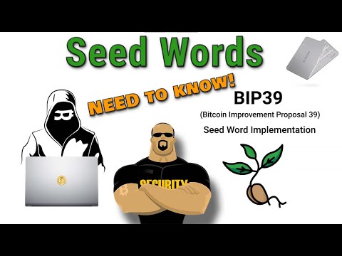 Everything You Should Know About Seed Words