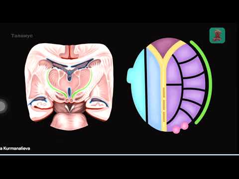Запись экрана 2025 12 11 220133