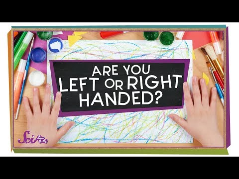 Why Are You Left or Right Handed? | Biology for Kids | SciShow Kids