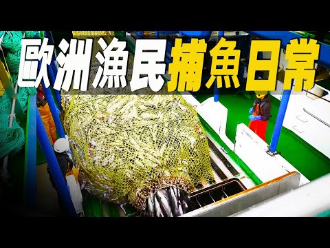 歐洲漁民的捕魚日常，為什麼深海捕魚是真正敢於冒險人的職業？揭秘上世紀六七十年代的漁民又是如何捕魚 #大脑洞记事