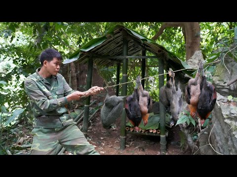 Survival in the wild, traces of wild pheasants, animal traps, wild chicken, build emergency shelters