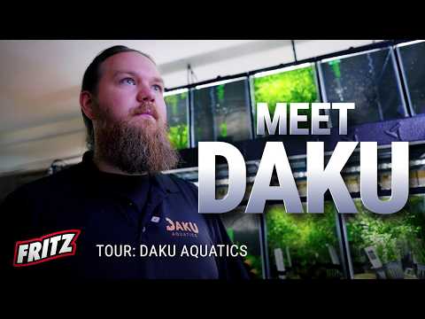 Amazing Breeding Secrets Revealed with Daku Aquatics