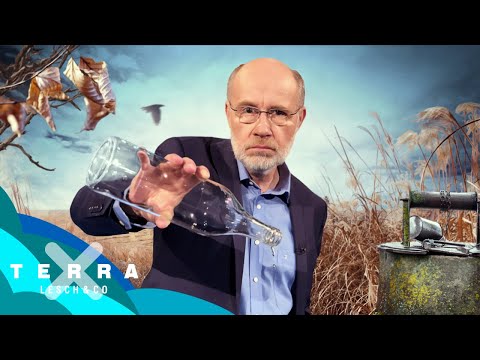 Dürre Zeiten – Der Kampf ums Wasser | Harald Lesch | Leschs Kosmos [Ganze Doku]