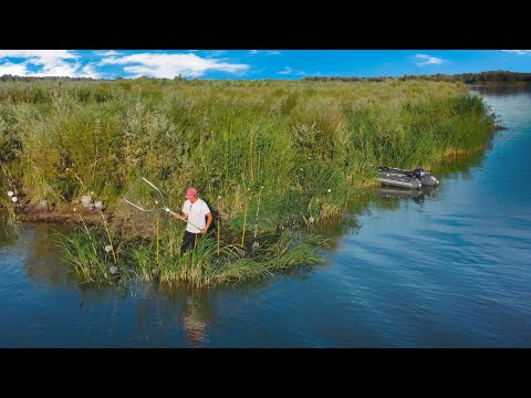 ТУТ ТОЛЬКО КРУПНЯК! Что за место такое? Рыбалка на реке ИЛИ! 5 дней на реке САЗАН АМУР ЧАСТЬ 2