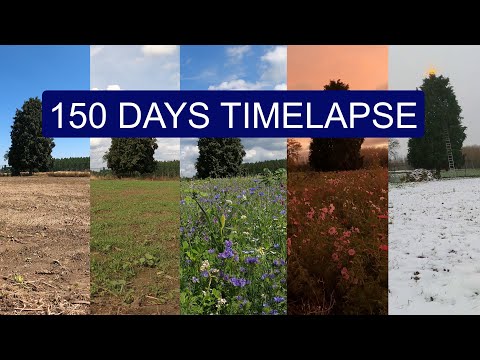 We sowed a WILDFLOWER MEADOW | 150 days Start to Finish TIMELAPSE