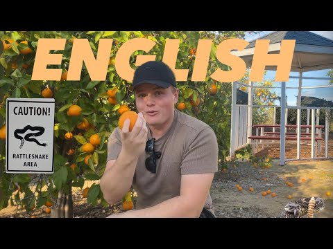 Learn to be Fluent in English with this Easy Beginner English Vlog! (Comprehensible Input)