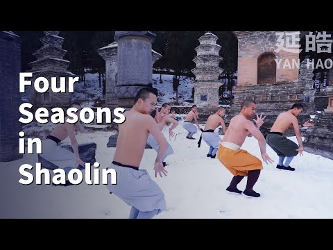 Four Seasons in Shaolin：which one do you most want to arrive? #yanhao #shaolin #kungfu #ufc #karate