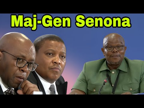 Madlanga Commission of Inquiry: Major-General Lesetja Senona day 3.