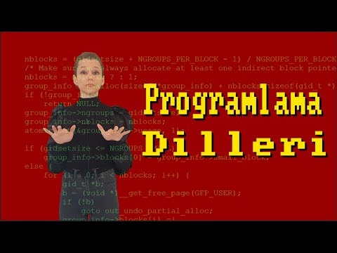 Programlama Dilleri Nedir?