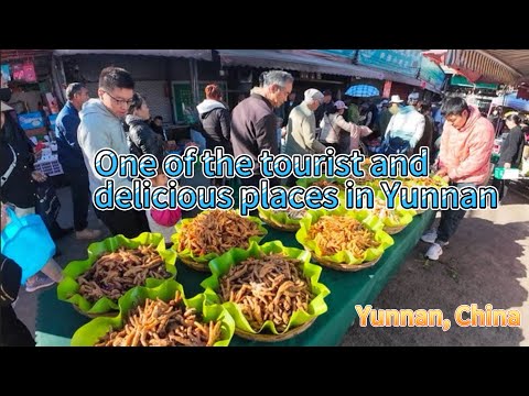 云南昆明普吉大集，现做的芝麻饼只需3元，毛豆腐多人争抢，片皮烤鸭香脆可口，现场人山人海，非常热闹