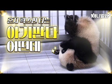 Twin Bao, tell me why you guys are acting like this