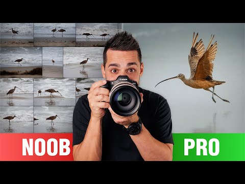 I tried Wildlife Photography, THIS is what I learned!