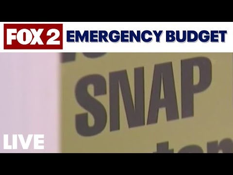 Michigan Senate passes emergency SNAP funding amid federal shutdown | LIVE