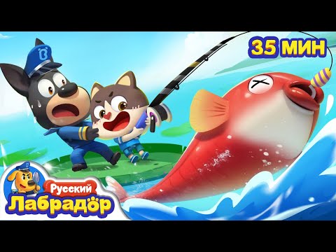 Приключения на рыбалке｜Правила безопасности на природе｜Сборник мультиков для детей｜Шериф Лабрадор