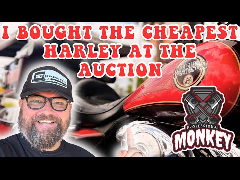 I Bought The Cheapest Harley At The Auction, What Could Go Wrong?
