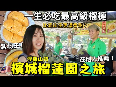 一生必吃馬來西亞最頂級榴蓮！【檳城榴槤園之旅】上浮羅山背吃最新鮮正宗榴槤！黑刺比貓山王更美味？｜馬來西亞旅遊多好玩｜Kodootv