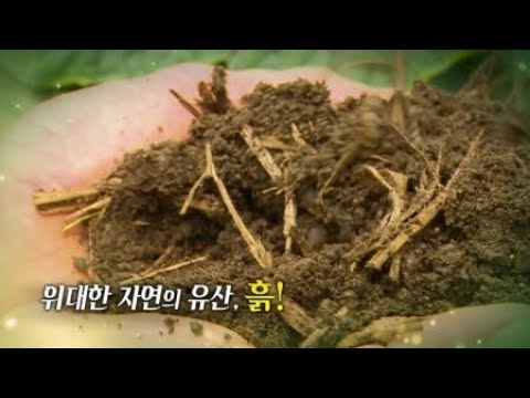 위대한 자연의 유산, 흙 / YTN 사이언스