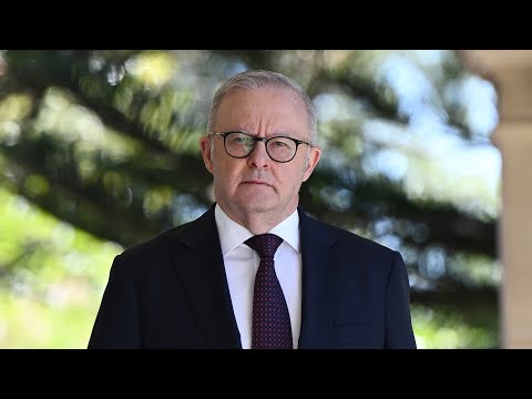 ‘It’s got out of control’: Australia’s infrastructure ‘can’t handle’ mass migration