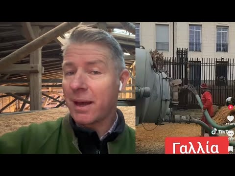 Demonstrations have begun! For you ☝️ Fight or perish!