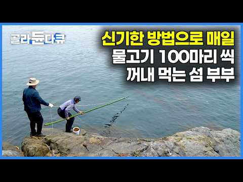 “안 팔아요, 우리가 다 먹어요” 우연히 놀러 온 섬 폐가에 눌러 앉아 집 앞 바다에서 매일 물고기 꺼내 먹는 섬부부｜지심도｜한국기행｜#골라듄다큐