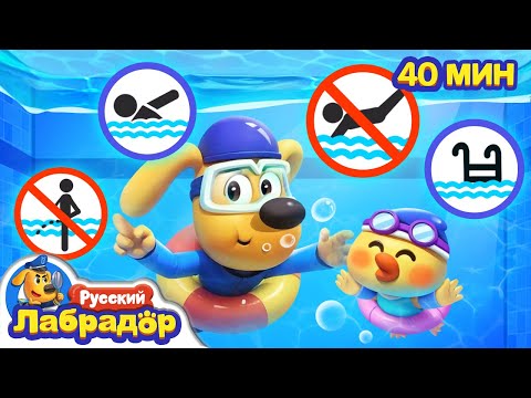 🛟Правила безопасности в бассейне | Безопасность в жизни | Сборник мультиков для детей｜Шериф Лабрадор