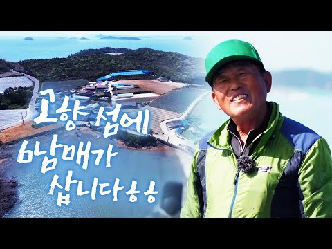 오늘 보리숭어가 많이 들어서 기분이 좋습니다 ㅎㅎ 50년 뱃일 했는데 이제는 우리 아들한테 물려 줄렵니다! 잡은 고기 우리 6남매하고 나눠 먹습니다 ㅎㅎ 아따 맛있다 #숭어