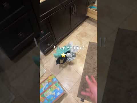 just came home after a long day! and volleyball! 🏐 #notdeadyet #justforamoment #restandbethankful