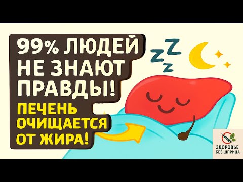 99% людей НЕ ЗНАЮТ ПРАВДЫ! Печень очищается от жира, пока вы спите! АНИМАЦИЯ