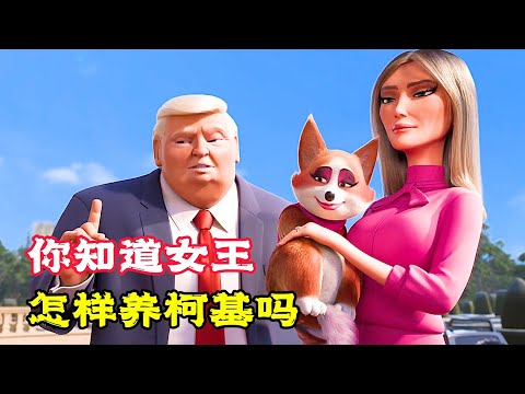 女王的寵物狗太幸福，因惹禍離家出走，卻學會少林功夫！萌寵動畫《女王的柯基》。電影，短片，成精，解說，搞笑，動畫，動作，喜劇，獵奇，奇幻，腦洞，科幻，超能力，short film