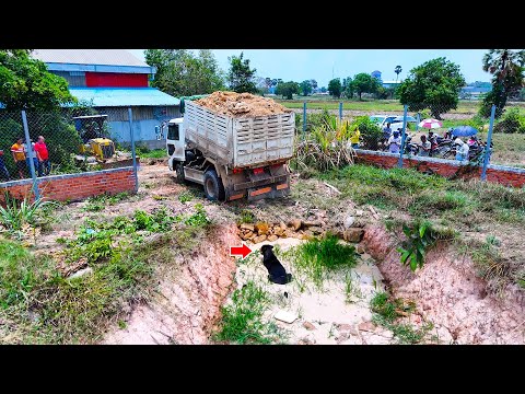 Great bulldozer skill pushing soil and filling land with dump truck
