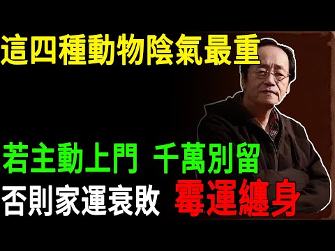 倪海廈：這四種動物陰氣最重！若主動上門,千萬別留，否則家運衰敗  霉運纏身#倪海廈#陰邪動物#家宅風水#風水禁忌#家運 #陽宅風水#因果報應#風水#易經 #改運 #生死#趨吉避凶