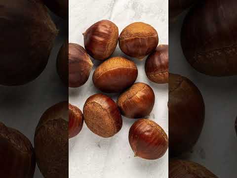 Doing Van Gogh's INTENSE Daily Routine 😅🎨🥃