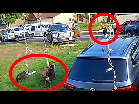 Vietnam veteran saves woman from brutal dog attack in Texas