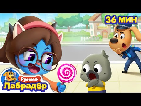 Остерегайтесь ненастоящих учителей! | Правила в детской жизни | Сборник мультиков | Шериф Лабрадор