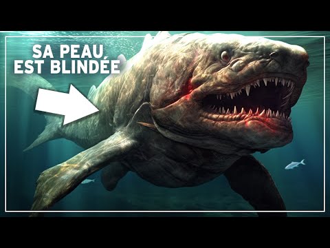 Dévonien: L'Époque Méconnue Où les Requins Préhistoriques Blindés Dominaient les Mers ! DOCUMENTAIRE