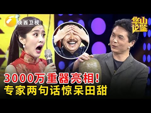 3000万重器亮相！小伙准备出手变现，专家两句话惊呆田甜【华山论鉴】