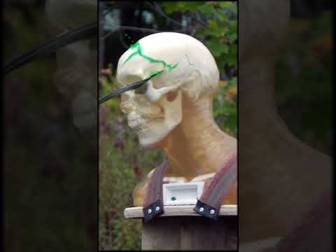 Historical Sickle Combat Would Be... Sick.